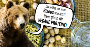 Read more about the article 10 bärenstarke, vegane Proteinquellen