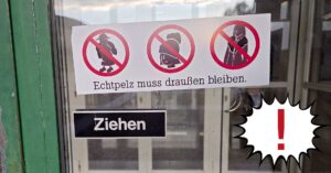 Mehr über den Artikel erfahren Echtpelz wieder in Mode?